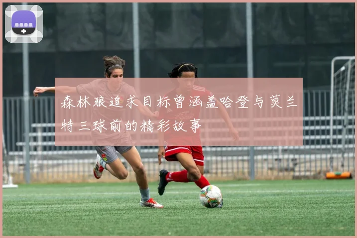 森林狼追求目标曾涵盖哈登与莫兰特三球前的精彩故事